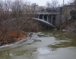 Elyria